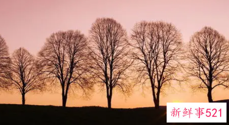 一个令人肃然起敬的故事