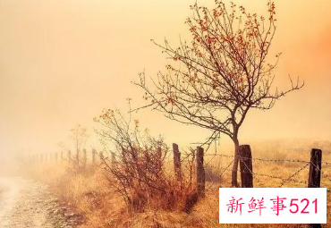 高端的游戏名字