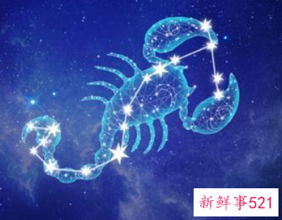 相处越久越让人喜欢的星座