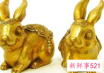 属兔的在家里摆点什么招财