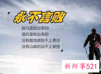 团队正能量语录