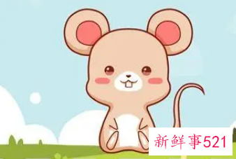 72年属鼠的女人佩戴什么最好