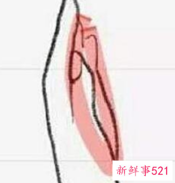 手握大小判断罩杯