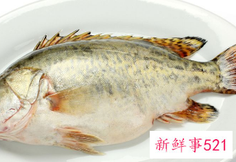 每天吃鱼对身体有什么好处