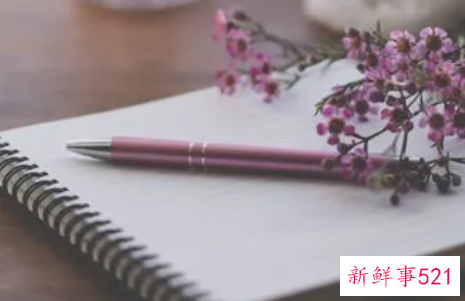 小组工作评估报告的撰写