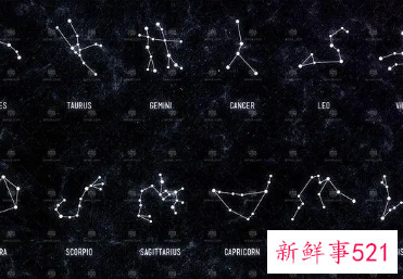 十二星座最怕什么动物图片