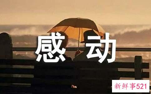 最容易被感动的人是什么星座