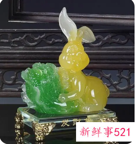 属兔的在家里摆点什么招财