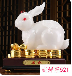 属兔的在家里摆点什么招财