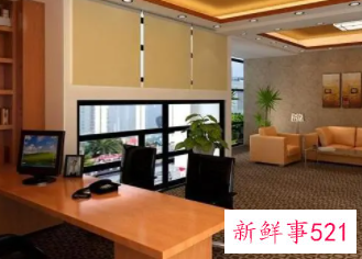 办公室适合养殖哪些多肉