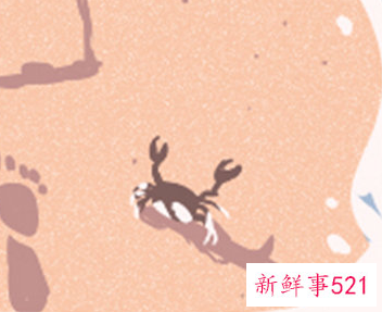 十二星座女被谁疼爱最幸福