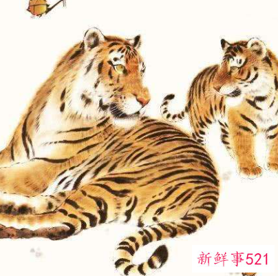 属虎男和属鸡女属相合不合