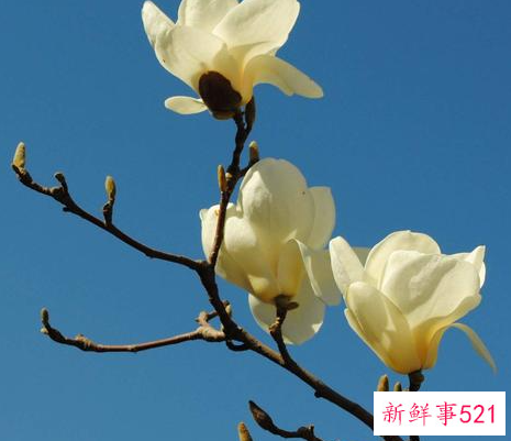 一个男人如何经营好一个家庭