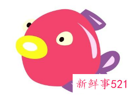 错过这些星座女会后悔