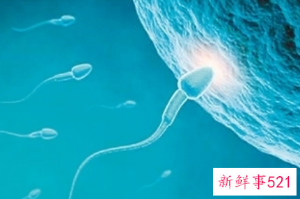怎样知道是否有精子进入