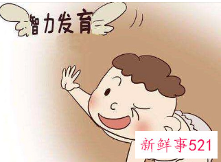 孩子智商高的表现是哪些