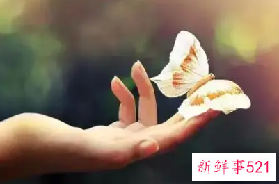 正确挽回男朋友的方法