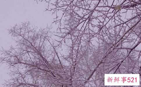 冬日补水保湿12大妙招