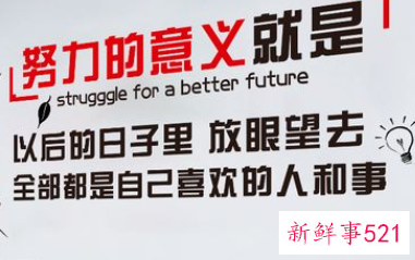 办公室环境有趣标语