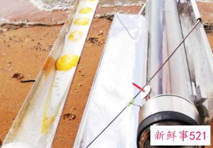 幼儿园野餐带什么食物