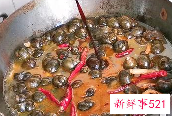 田螺和什么煲汤最好