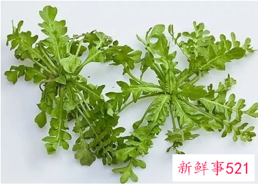 梦见荠菜有什么征兆