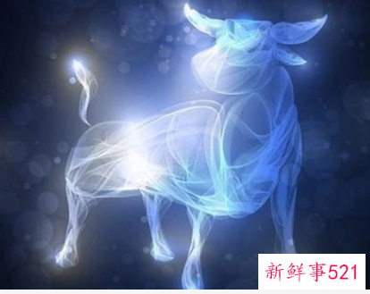 如何让金牛座分手后再复合