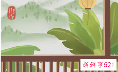 养鸟的风水禁忌