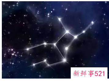 什么星座最聪明又漂亮