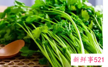 香菜的副作用对男人
