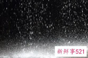 梦见瓢泼大雨打伞走是什么意思