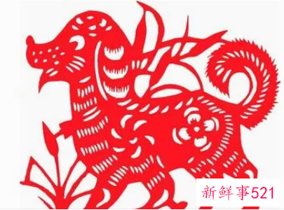 70年属狗人发财方向是哪里