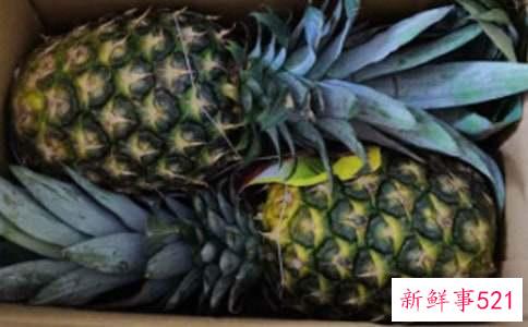 吃凤梨的好处有哪些