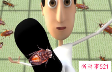 家里有蟑螂怎么除根