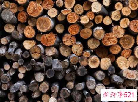 日常生活中的致癌因素