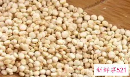 吃哪种主食不容易发胖