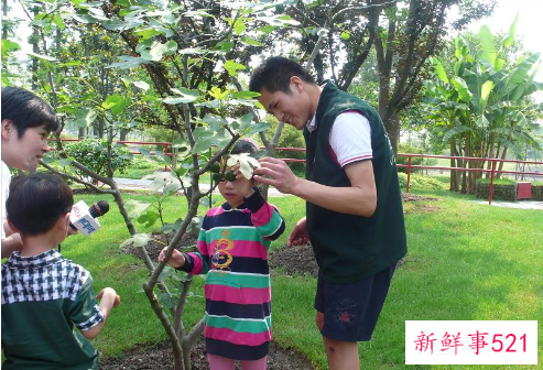 国际盲人节是几月几日