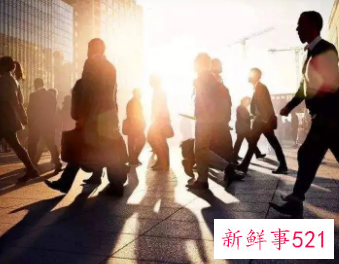 意向职位一般写什么