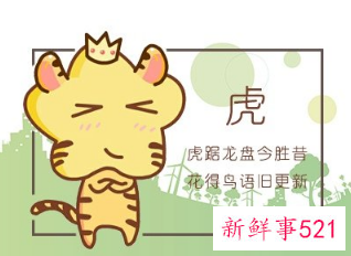 属猪和属虎的婚配好吗