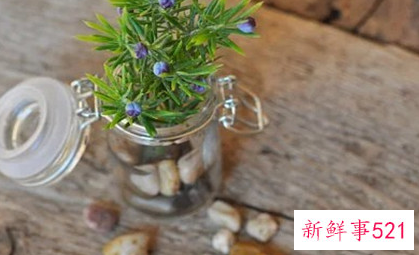 亲人是一辈子只有一次的缘分