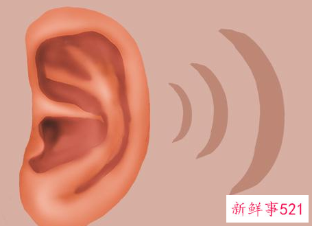 戴耳塞耳朵里面痒是怎么回事