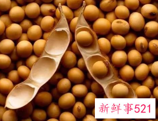 高蛋白质蔬菜和水果