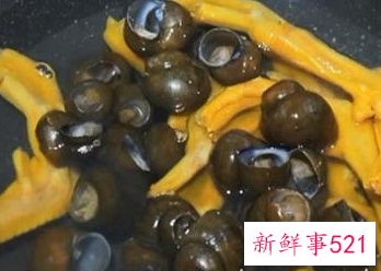 田螺和什么煲汤最好