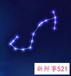什么星座最聪明又漂亮