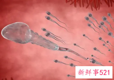 怎样知道是否有精子进入