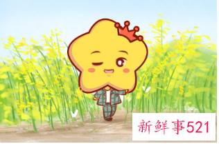 宠老婆的星座男是什么