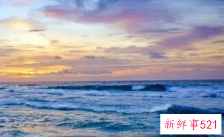 女人用什么颜色的钱包