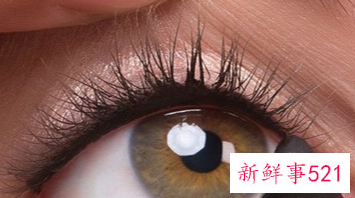 内眼线是画在眼睑上吗