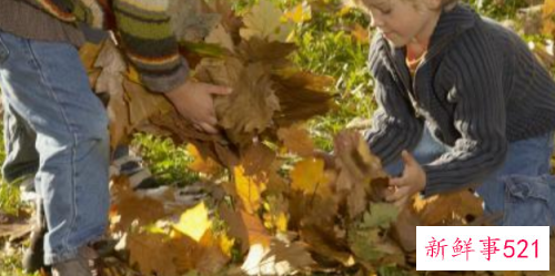 教您教育出开朗乐观孩子的8大绝招