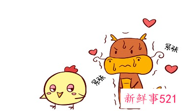 属牛女与十二生肖婚配